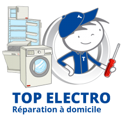 top-electro-logo-bleu